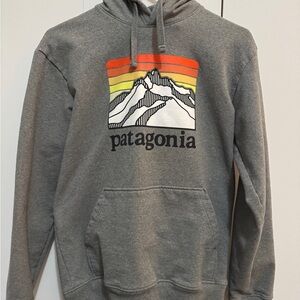 Patagonia Men’s Gray Hoodie with Mountain Graphic